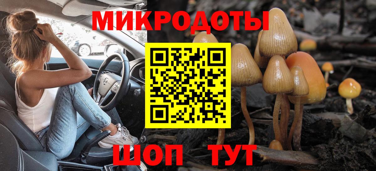 Псилоцибиновые грибы Psilocybe  Вход с VPN  Мирный 